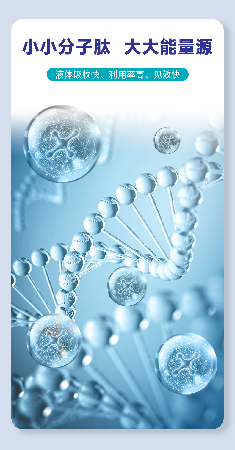 牛腦肽詳情頁(yè)_03.jpg 牛腦肽詳情頁(yè)_03.jpg