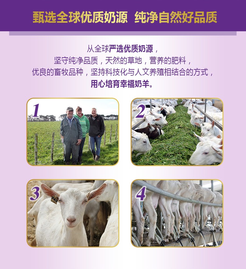  �����׃��䷽���̷ۣ�12-36���g��3�Σ�_03