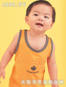 ������ɫ����