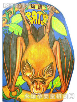 С̖(ho)L(fng)w(sh)ģ