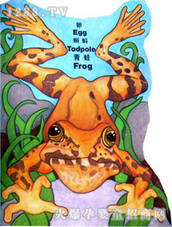 С̖(ho)L(fng)w(sh)ģ