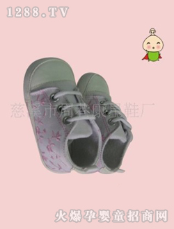 Ģ�����ˌ����W(xu��)��ЬZX9503